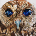Zeus The Owl
